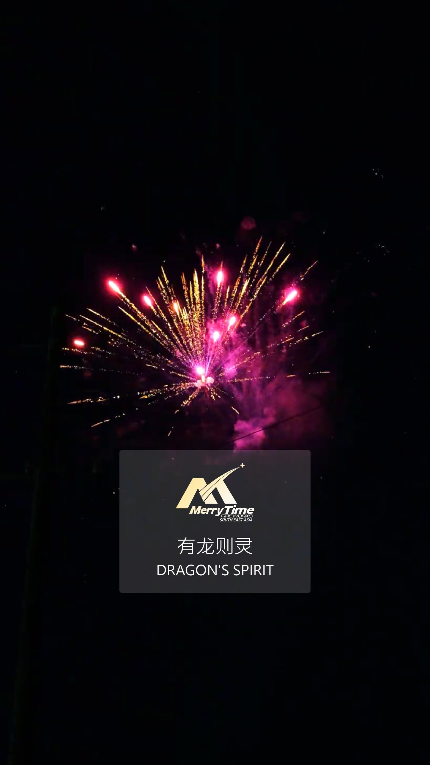 DRAGON'S SPIRIT