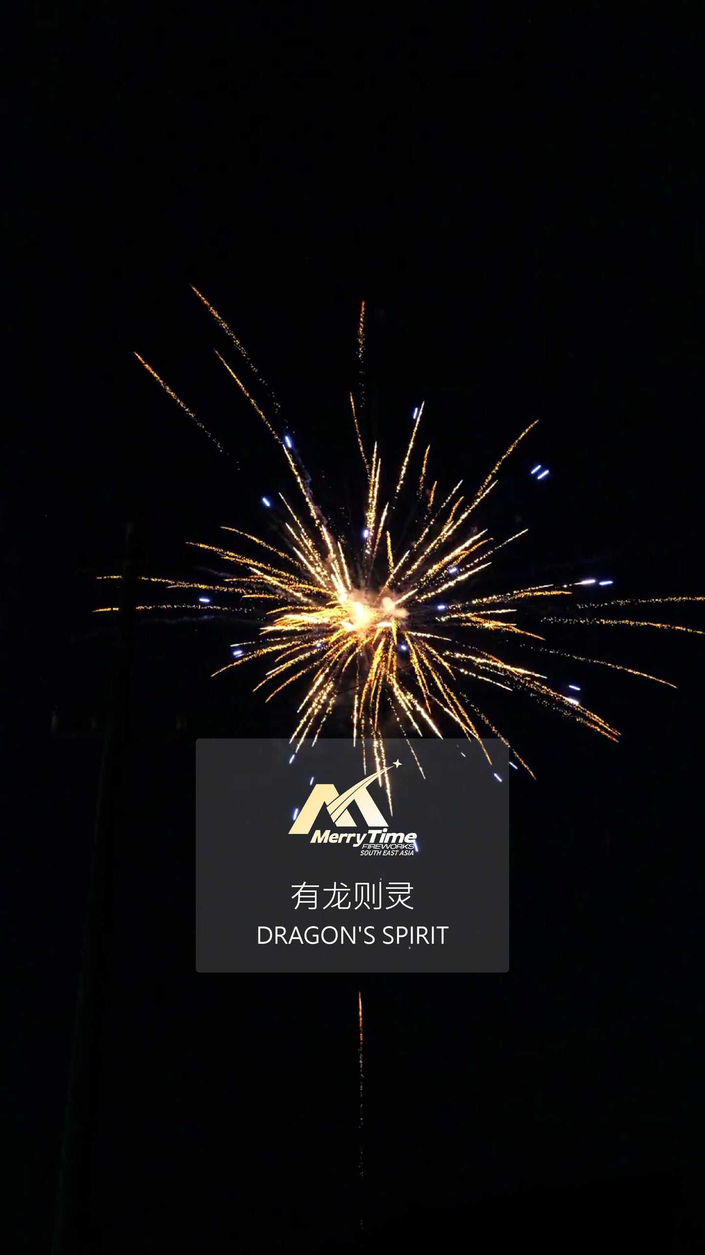 DRAGON'S SPIRIT