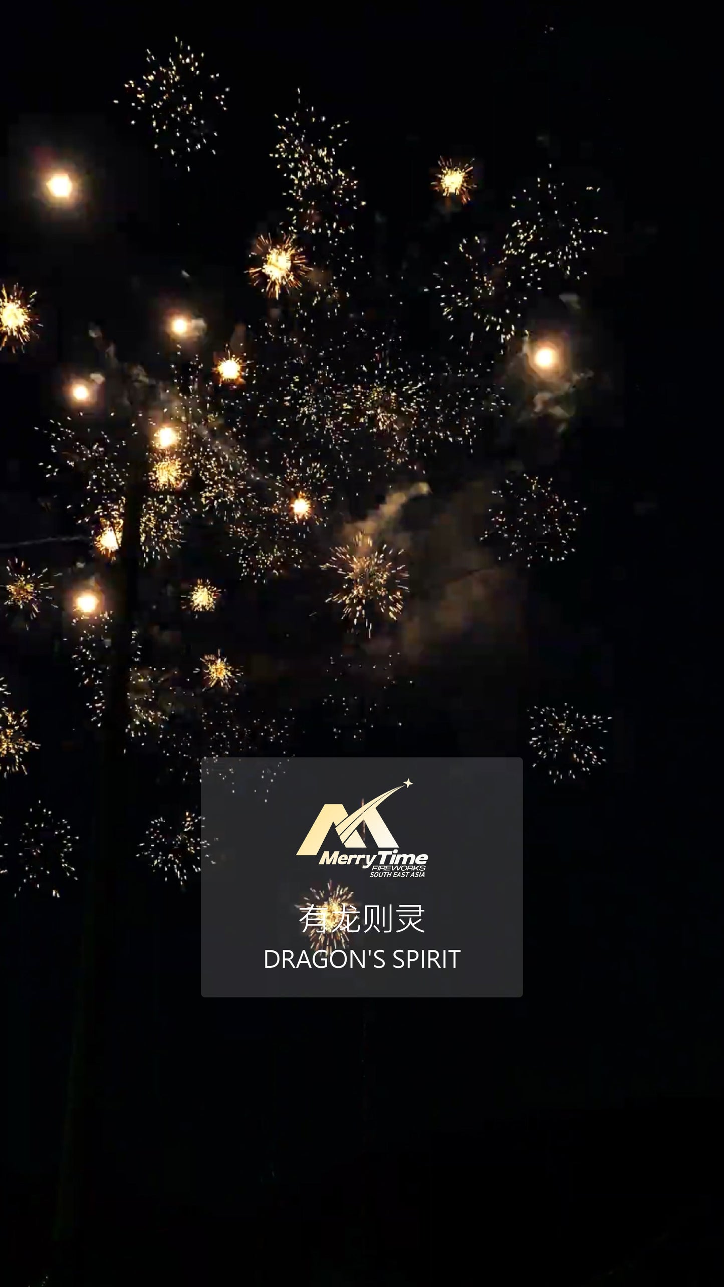 DRAGON'S SPIRIT
