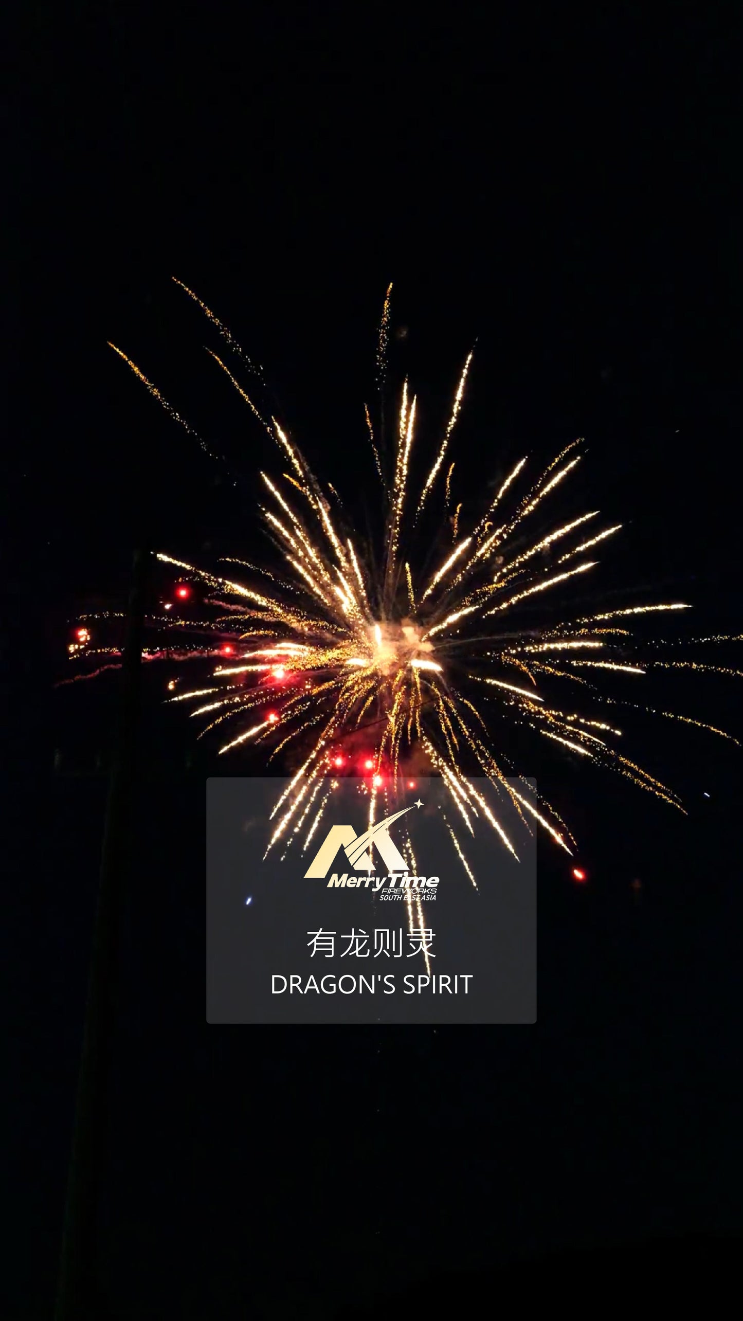 有龙则灵 DRAGON'S SPIRIT