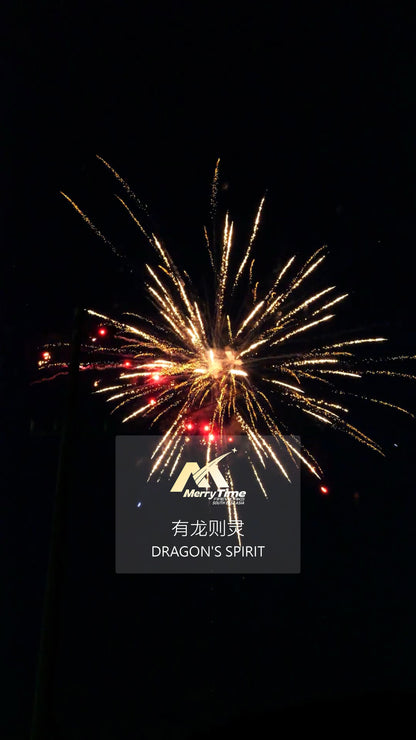 有龙则灵 DRAGON'S SPIRIT