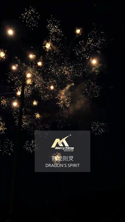 有龙则灵 DRAGON'S SPIRIT